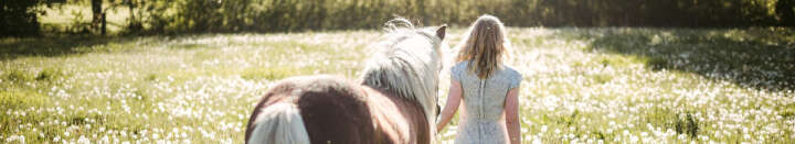 NB SchmalesHeaderbanner 1920x350px (1)